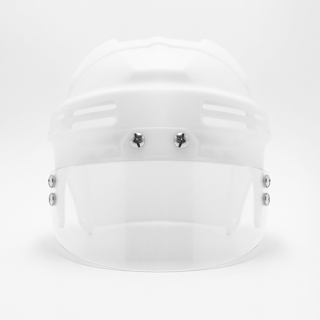 定制展示迷你冰球头盔组合，带 护目镜