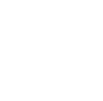 社交活动